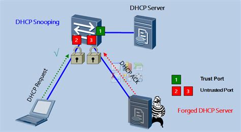 dhcp port control là gì